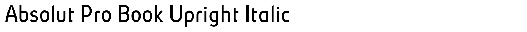 Absolut Pro Book Upright Italic image